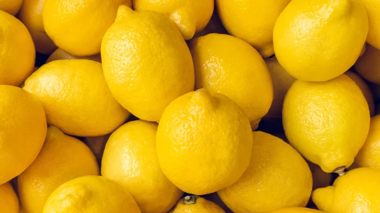 Uzmanlar Uyarıyor: Mayer Limonunda Erken Hasat Tehlikesi