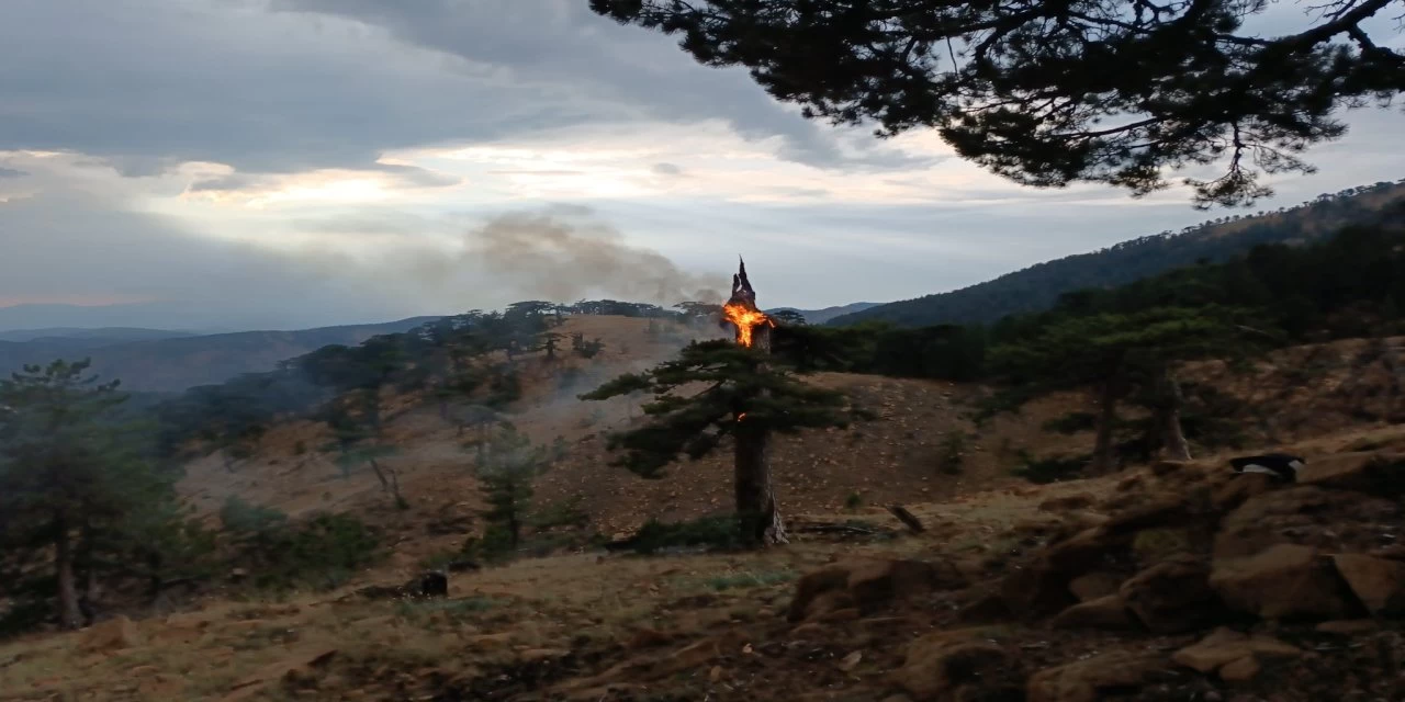 Muğla'da 11 yangın felaketi meydana geldiği açıklandı