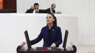 CHP’li Özcan Muğla’da Enerji Hatlarından Çıkan Orman Yangınlarına Dikkat Çekti