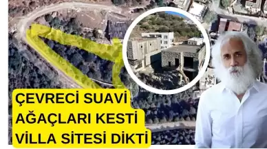 Suavi Bodrum’da Çevre Katliamı Yaptı: Ağaçları Kesti, Villaları Kondurdu