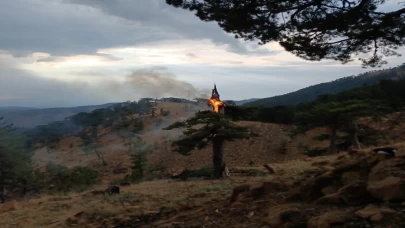 Muğla'da 11 yangın felaketi meydana geldiği açıklandı