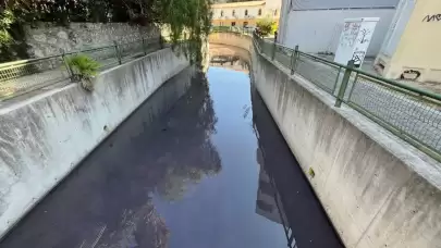 Marmaris'te Felaket! Maksim Deresi Boya Atıklarıyla Zehirlendi, Balıklar Can Çekişiyor!