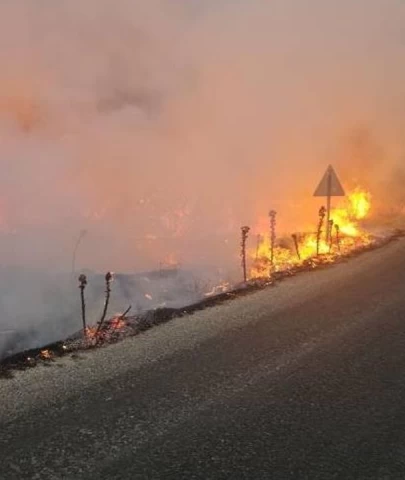 Karşıyaka'da çıkan orman yangınının sebebi piknik ateşi!