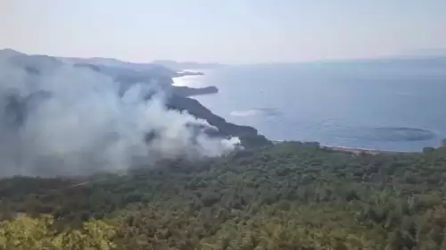 Domuzçukuru'ndaki Orman Yangını Ekipler Tarafından Kontrol Altına Alındı