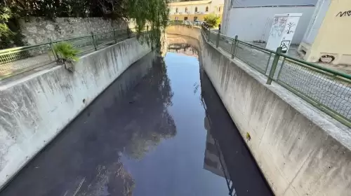 Marmaris'te Felaket! Maksim Deresi Boya Atıklarıyla Zehirlendi, Balıklar Can Çekişiyor!