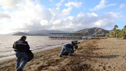 Marmaris'te yağmurdan sonrası sahil temizliği