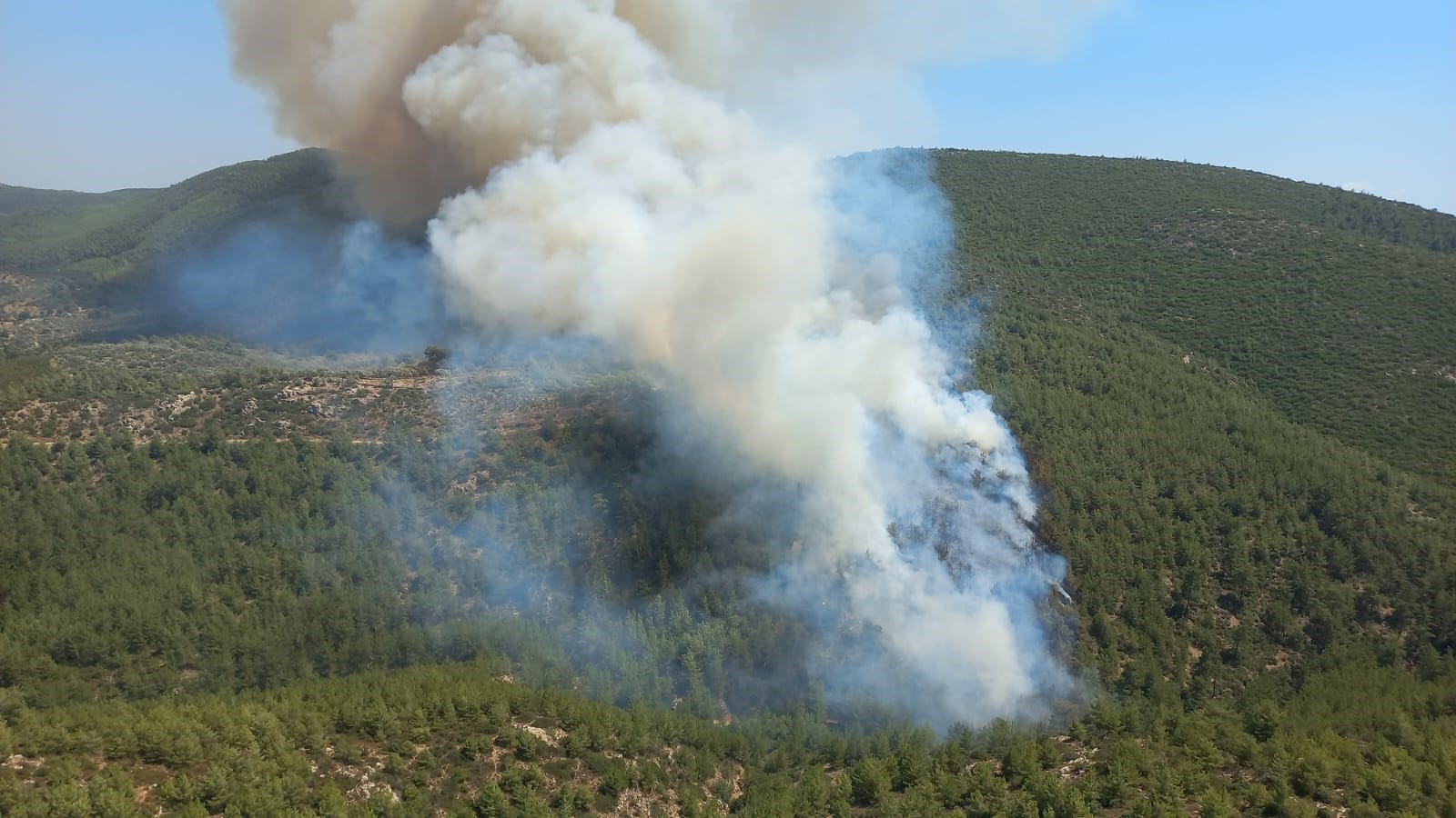 Bodrum Orman Yangınına Havadan ve Karadan Müdahale devam Ediyor