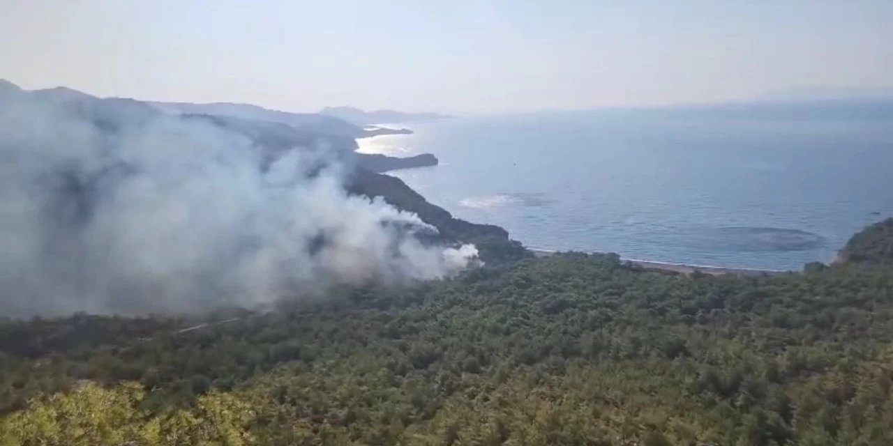 Domuzçukuru'ndaki Orman Yangını Ekipler Tarafından Kontrol Altına Alındı