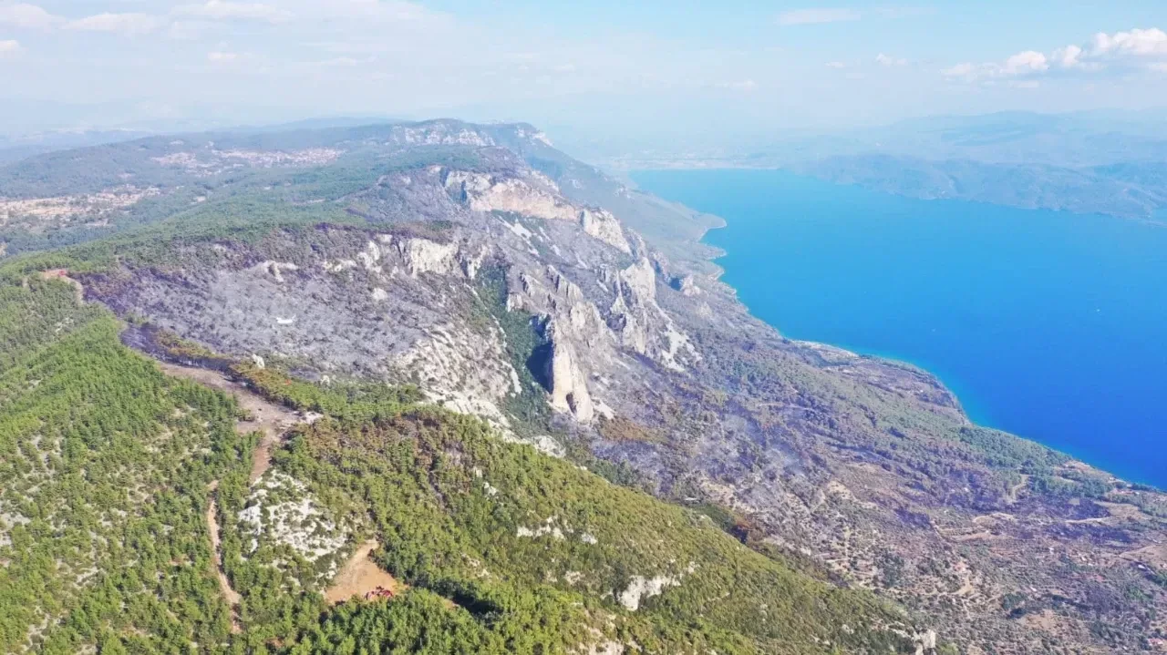 Menteşe’de orman yangınında acı tablo havadan görüntülendi