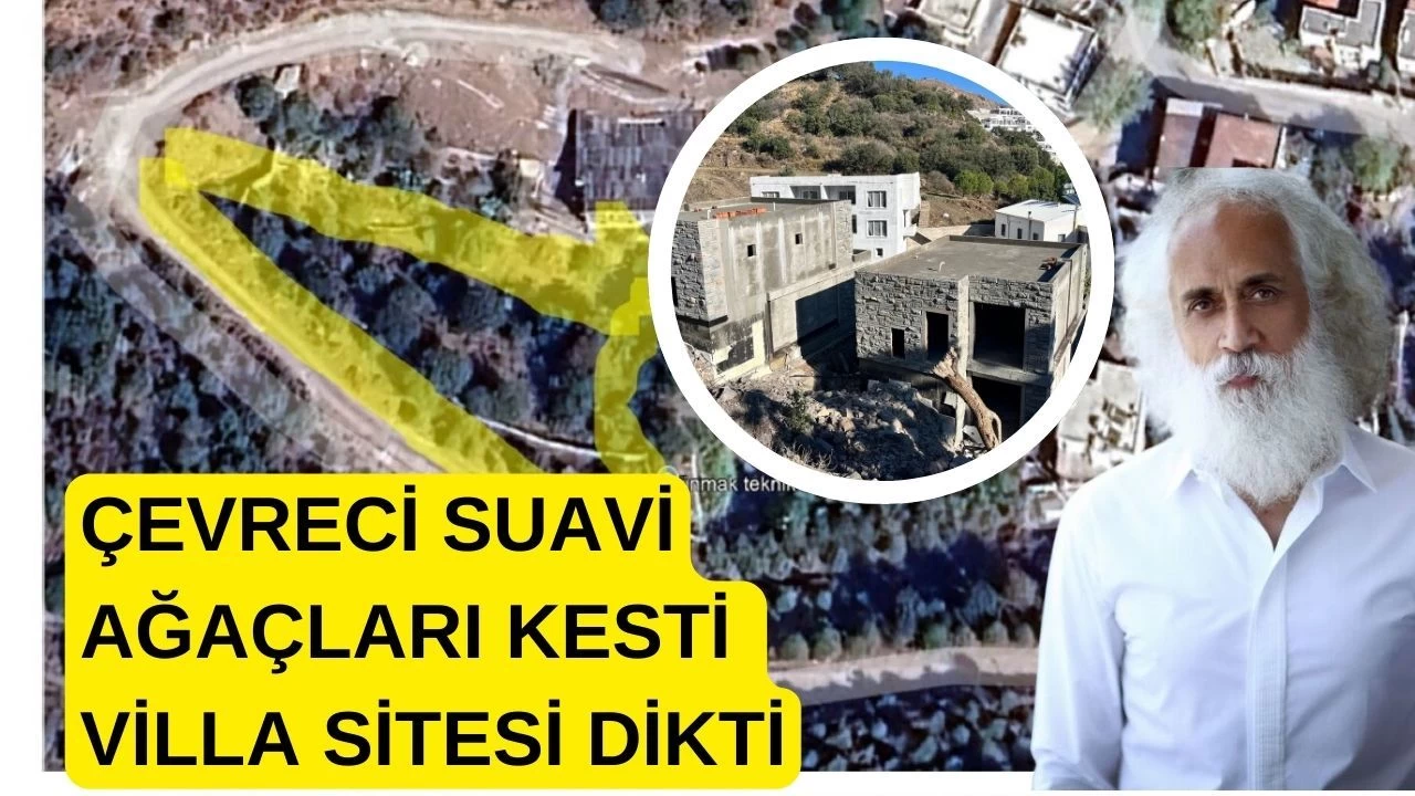 Suavi Bodrum’da Çevre Katliamı Yaptı: Ağaçları Kesti, Villaları Kondurdu